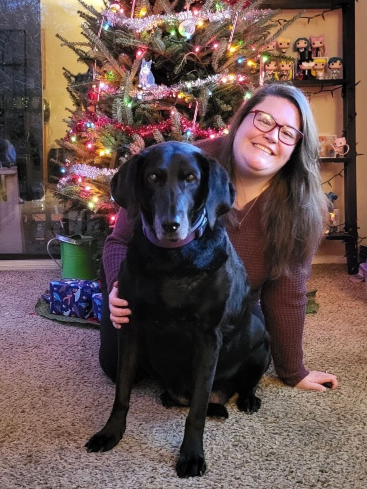 Veterinarian In Inman, SC 29349 | Inman Animal Hospital