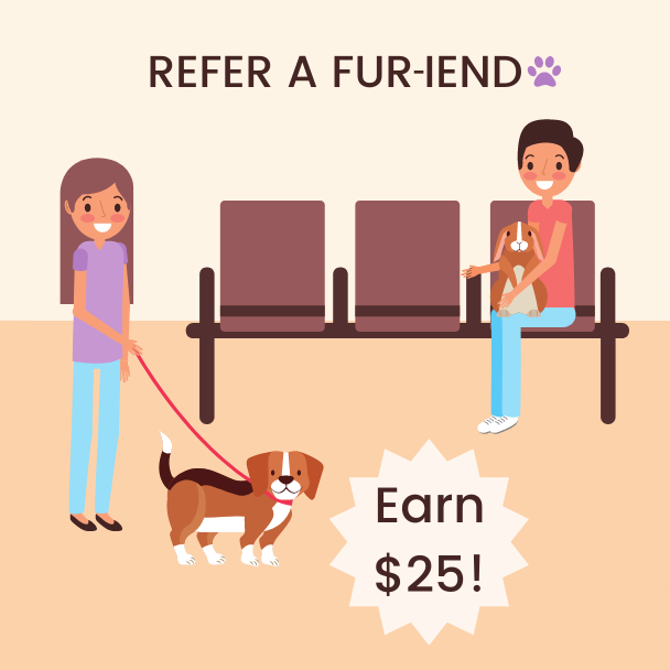 Fur-iend Referral Program